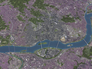Seoul - 3D City Model Modelo 3D