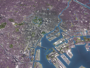 Tokyo - 3D City Model 3D 模型