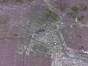 Los Angeles - 3D City Model 3D Model