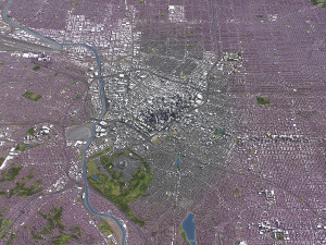 Los Angeles - 3D City Model 3D Model