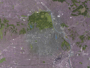 Los Angeles - 3D City Model 3D Model