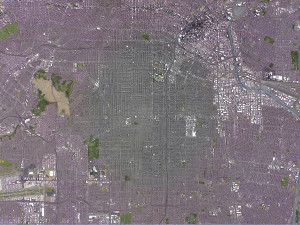 Los Angeles - 3D City Model 3D Model