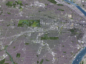 St Louis - 3D City Model 3D Model