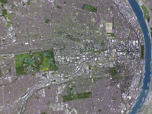 St Louis - 3D City Model 3D 模型