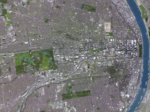 St Louis - 3D City Model 3D Model