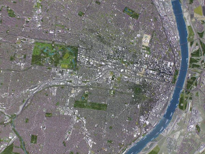 St Louis - 3D City Model 3D Model
