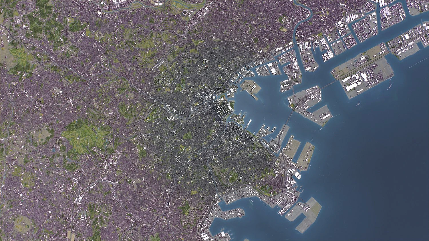 Yokohama - 3D City Model 3D Model .c4d .max .obj .3ds .fbx .stl .blend 