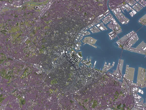 Yokohama - 3D City Model 3D Model