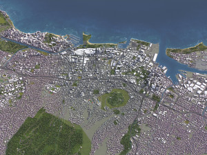 Honolulu - 3D City Model Model 3D