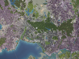 Shenzhen - 3D City Model 3D मॉडल