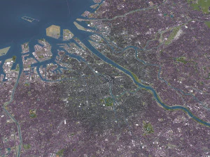 Osaka - 3D City Model 3D Model
