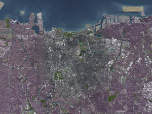 Jakarta - 3D City Model 3D Modell