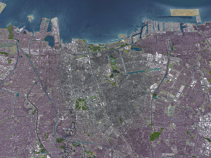 Jakarta - 3D City Model 3D Modell