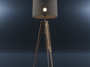 floor lamp - wood 3D 모델