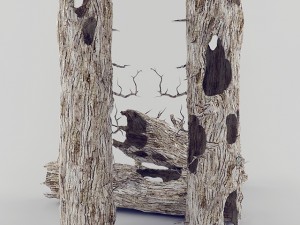 old wood 3D Model