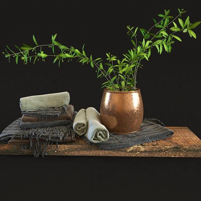 olive set 3D Model .c4d .max .obj .3ds .fbx .stl .blend