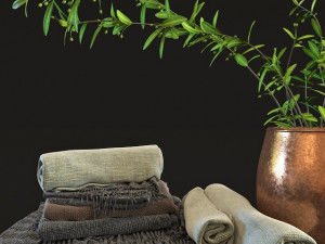 olive set 3Dモデル