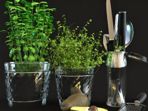 kitchen set 02 3D Model