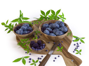 berry set 3D Model