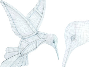 wall decoration hummingbird mirror Model 3D