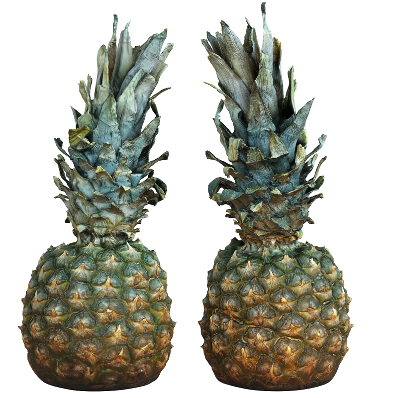 Pineapple Modelo 3D .c4d .max .obj .3ds .fbx .stl .blend 