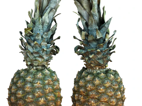 파인애플 3D 모델
