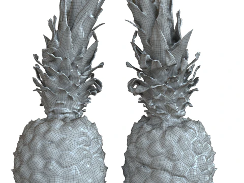Pineapple 3D Model