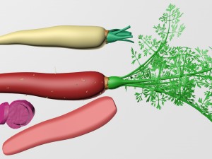 carrot-002 3D Model