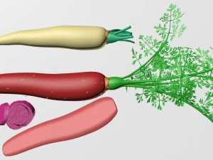 carrot-002 3D Model