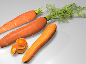 carrot Modèle 3D