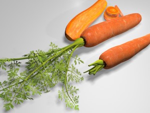 carrot 3D मॉडल