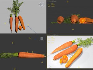 carrot 3D मॉडल