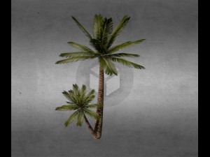 palm v2 3D मॉडल