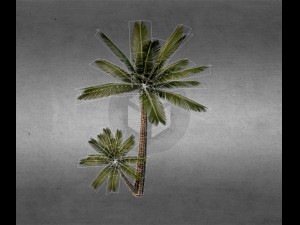 palm v2 Modelo 3D