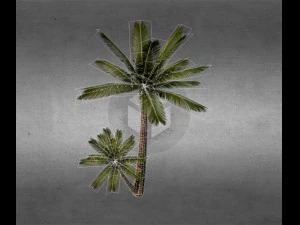 palm v2 3D Model
