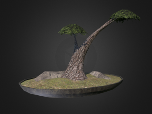 bonsai low poly 3D Model