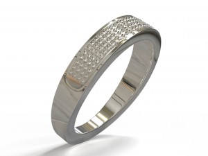 ring-silver Model 3D