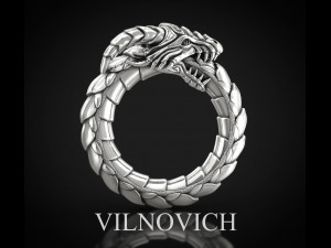 Ring ouroboros 3Dモデル