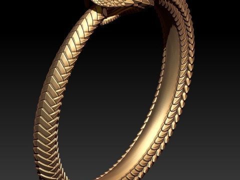 OUROBOROS RING Printable Model 3D print model 3Dモデル