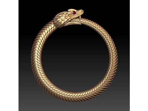 OUROBOROS RING Printable Model 3D print model 3Dモデル