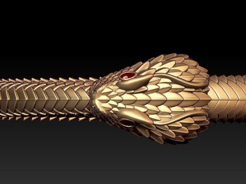 OUROBOROS RING Printable Model 3D print model 3Dモデル