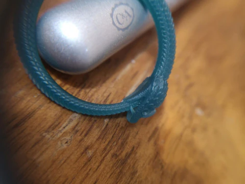 OUROBOROS RING Printable Model 3D print model 3D Model