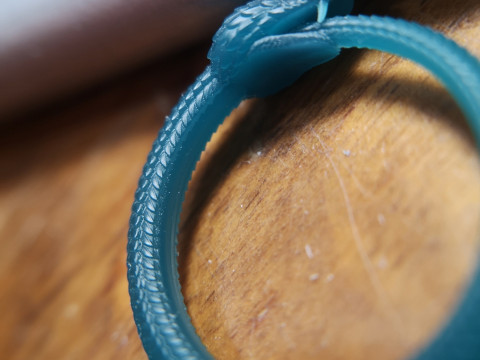 OUROBOROS RING Printable Model 3D print model 3Dモデル