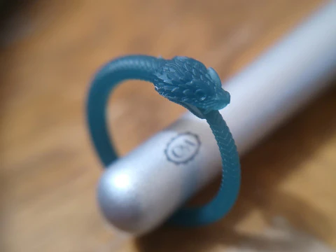 OUROBOROS RING Printable Model 3D print model 3D Model