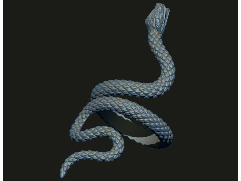 SNAKE RING Printable Model 3D print model 3Dプリントモデル