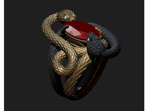 A RING WITH TWO SNAKES 3D-printmodel