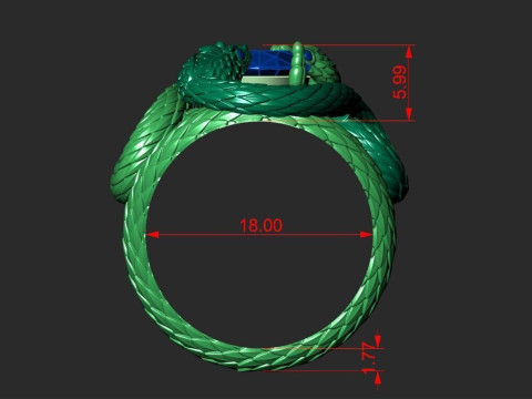 A RING WITH TWO SNAKES 3D-printmodel