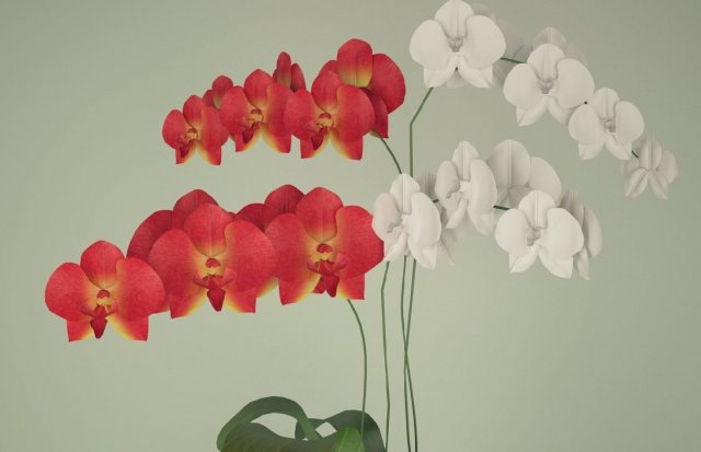 orchid in a flowerpot Modèle 3D .c4d .max .obj .3ds .fbx .stl .blend 