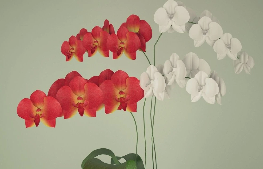 orchid in a flowerpot 3D Model .c4d .max .obj .3ds .fbx .stl .blend