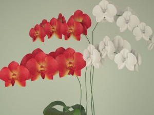 orchid in a flowerpot Modèle 3D